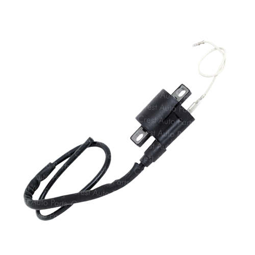 IGNITION COIL WITH PLUG CAP CDI70 PRIME QUALITY (EPS BOX PACK) 93